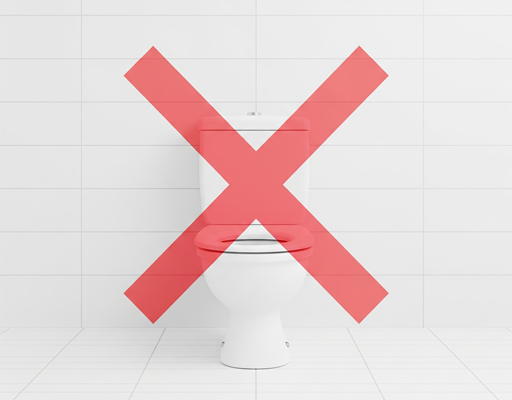 Toilet symbol with a red cross over it in a forbidden Vastu direction